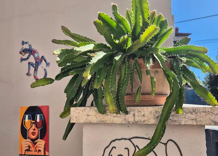 Akvamarin Stone House 펜션 *